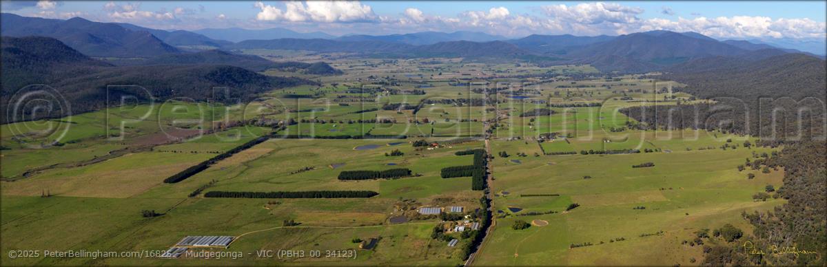 Peter Bellingham Photography Mudgegonga - VIC (PBH3 00 34123)